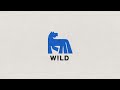 Russ - Embrace (Official Audio)