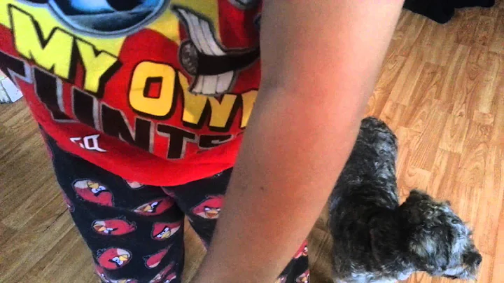 The marks of the dog