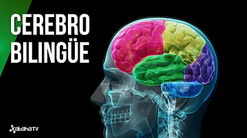 ¿Es diferente el cerebro de una persona bilingüe?