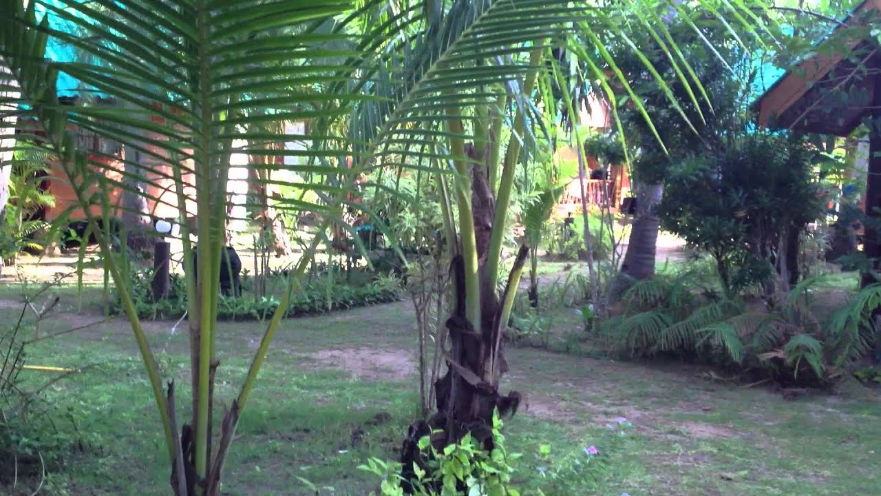 Sayang beach resort koh lanta