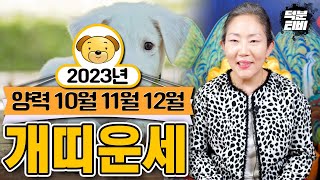2023년 양력10월,11월,12월의 개띠분들은 대박운세를 잡을수 있을까? 82년생,70년생,58년생 필수시…