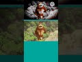 Super Mario || King Kong did not accept the loss  #animation #videoediting #videoeffects