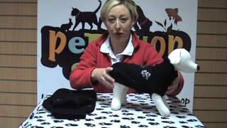 Kingston Pullover Dog Jumper by Jamielee McGirl 339 views 11 years ago 40 seconds