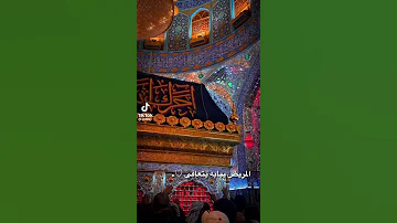 كمر حيرنه باوصافه دخيل ابو فاضل 