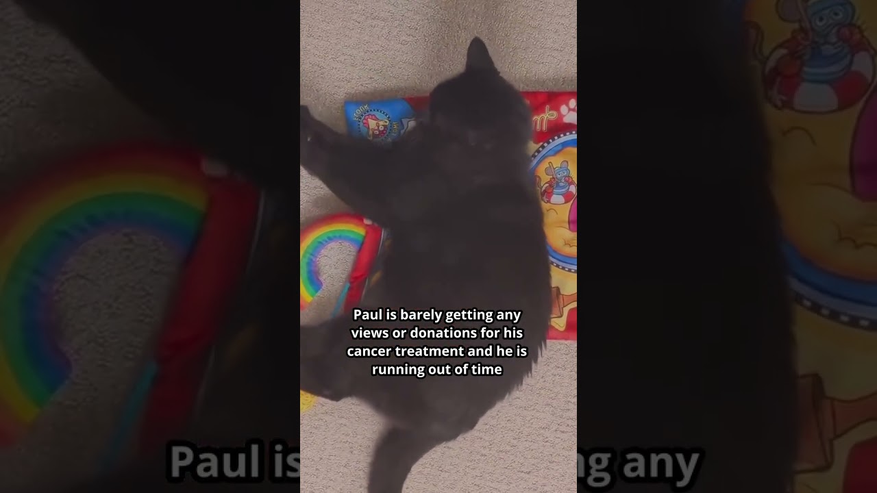 Paul’s silence is louder than any cry for help 💔🙏 