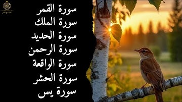 ✨ تلاوة خاشعة لسور الحديد والقمر والحشر والواقعة والرحمن والملك ويس | تلاوة تبعث الطمأنينة والسكينة 