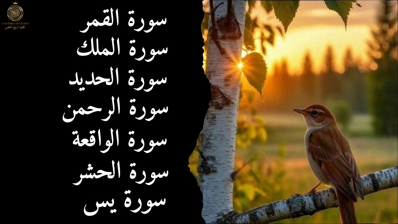 ✨ تلاوة خاشعة لسور الحديد والقمر والحشر والواقعة والرحمن والملك ويس | تلاوة تبعث الطمأنينة والسكينة 