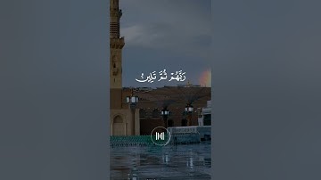 ماهر المعيقلي - سورة الزمر - تلاوة خاشعة - افمن شرح الله صدره للإسلام فهو على نور من ربه