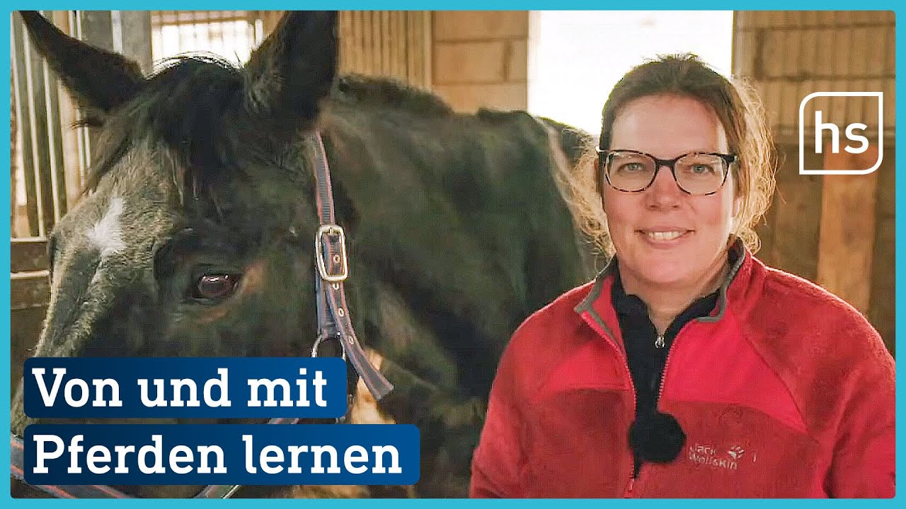 Wenn Führungskräfte von Pferden lernen (Doku PferdeMenschen) | hessenschau