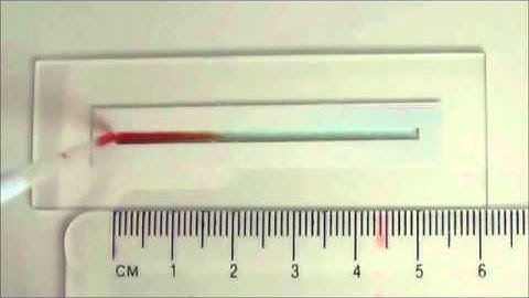 Multi-gradient hydrogels produced layer by layer with capillary flow and crosslinking in open...