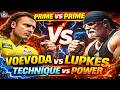 Prime Voevoda vs Prime Lupkes