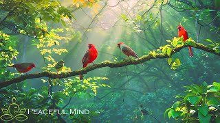Morning Harmony: Optimistic Piano Prelude For A New Day, Enhanced By Birdsong, Inspiring Tranquil...