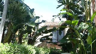 Actor C. Thomas Howell Actress Rae Dawn Chong Former Home Los Angeles California April 4, 2026