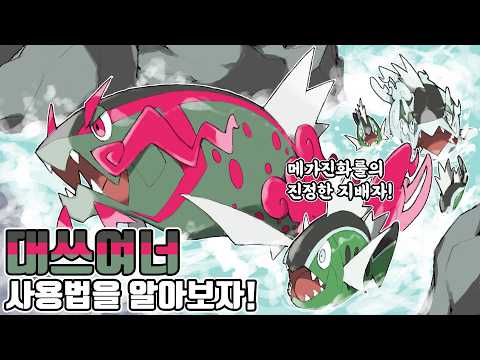 포켓몬 배틀의 지배자가 된 메가진화 A룰의 최종 승자 대쓰여너(수컷) 사용법을 알아보자! [포켓몬 챔피언스]
