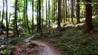 Nature3DTaeuber Compilation (Everyday by Carly Commando)