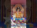 14 February 2024 / Vidyasagar University /#saraswati_Puja /#puja #youtubeshorts