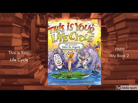 This Is Your Life Cycle Youtube