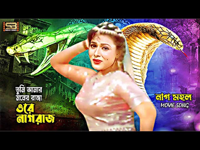 Tumi Amar Moner Raja | তুমি আমার মনের রাজা | Rozina & Jambu | Sabina Yasmin | Naag Mohol