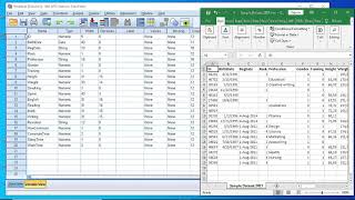 SPSS Basics \/ How to import excel data
