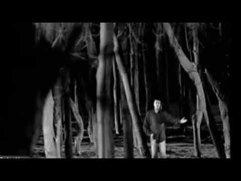 مصطفى كامل ارجع بـــــــــــــقى