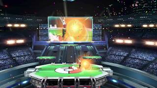 He Didnt Salute The Sun