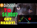 THE TERRIFYING BITCOIN CHART NO ONE WANTS TO SEE - BTC/CRYPTOCURRENCY TRADING ANALYSIS