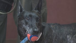 Harrisburg K9 Officer Zoe receives a special retirement ceremony