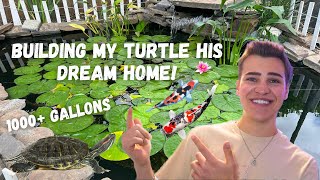 BABY TURTLE GETS A NEW *1000 GALLON POND* Turtle Moving Day!