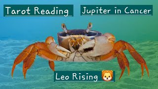 Tarot reading - Jupiter in Cancer - for Leo Rising 🦁 #leo #tarot #leorising #jupiterincancer