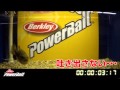 Berkley Powerbait 「バイト時間は18倍！」