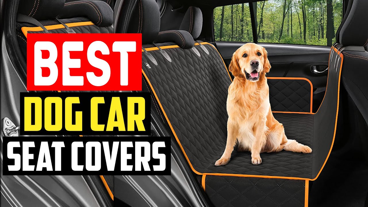 Top 5 Best Dog Car Seat Covers in 2022 - YouTube