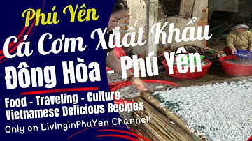Cách Chế Biến Cá Cơm Xuất Khẩu Tại Đông Hòa - Phú Yên | How To Proces Anchovies for export