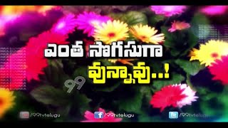 Gerbera Flower Cultivation || Drumstick Cultivation | Eruvaka | 99tv