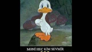 TOYGAR Hayat Gibi