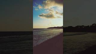 Eternal Summer