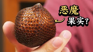 Devil Fruit？——Salak review 这个像龙蛋的东西是恶魔果实吗？闻起来特别有内味儿丨蛇皮果丨柴犬老丸子 Lao Wanzi