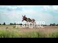 Trailer concorto film festival 2015