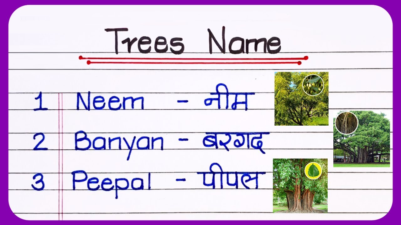 10 Trees Name In English And Hindi Trees Name 10-trees-name-in-english-and-hindi-trees-name