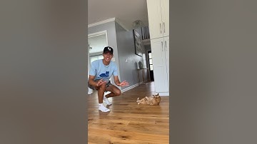 The sting zone 😾 #viral