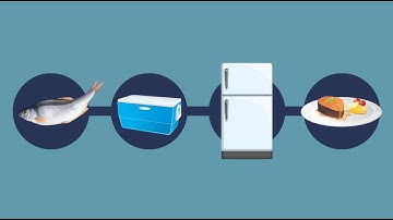 SeSAFE Training Module 8 - Using a cold chain