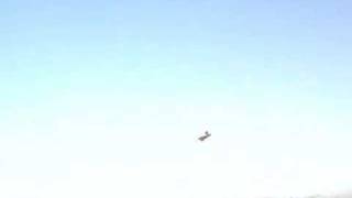 Weasel - Zagi Combat at Lake Hodges, CA