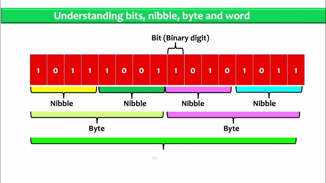 Computer Science Lesson 5 The Units of Measuring Computer Memory YouTube