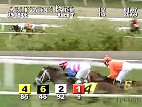 ARLINGTON PARK, 2008-05-15, Race 7