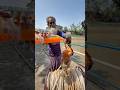 2 kg tasty bait throwing for shark catching 07 #fishing #fishinglife #riverside