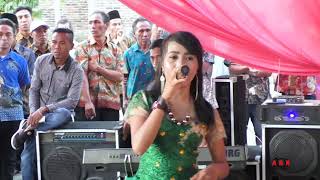 Download Disco Rawa Mbojo Bima Video MP3 Disco Rawa Mbojo Bima