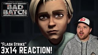 Star Wars: The Bad Batch 3x14 Reaction! - 