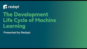 The Development Life Cycle of Machine Learning
