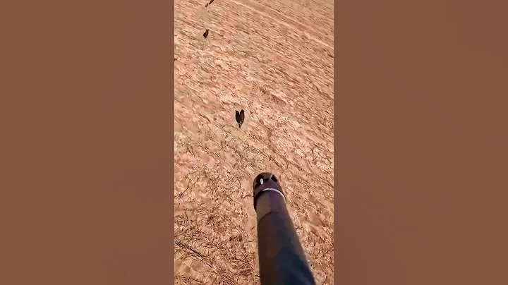 Великолепный снимок родившегося сына посреди джунглей#chasse #hunting #wildboar