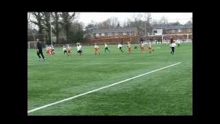haren - actief