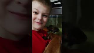 Агрессивные попугай🐠🦈🐳÷)@..#